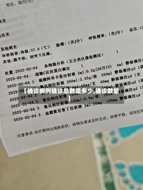 【确诊病例确诊总数是多少,确诊数量】