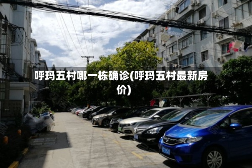 呼玛五村哪一栋确诊(呼玛五村最新房价)