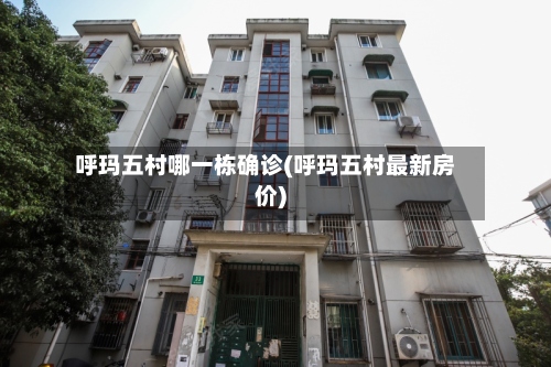 呼玛五村哪一栋确诊(呼玛五村最新房价)-第2张图片
