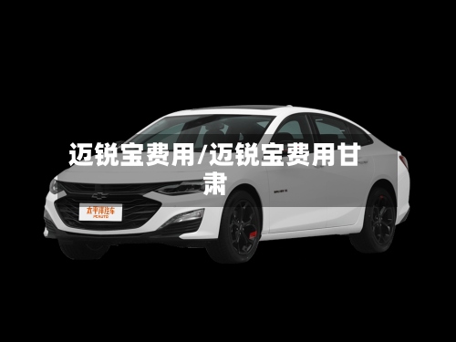 迈锐宝费用/迈锐宝费用甘肃-第2张图片