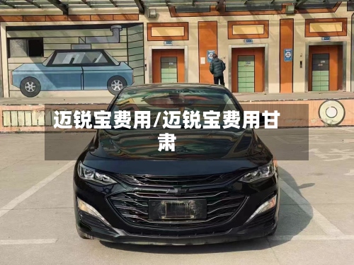 迈锐宝费用/迈锐宝费用甘肃-第3张图片