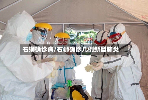 石狮确诊病/石狮确诊几例新型肺炎-第2张图片