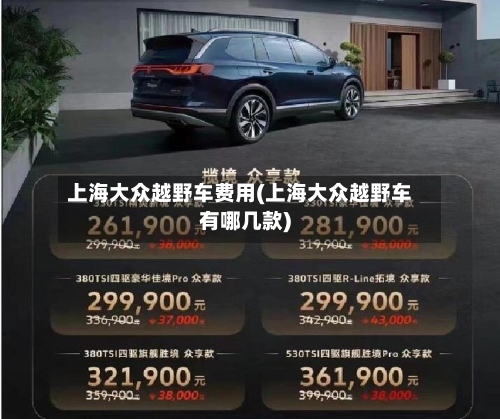 上海大众越野车费用(上海大众越野车有哪几款)-第3张图片