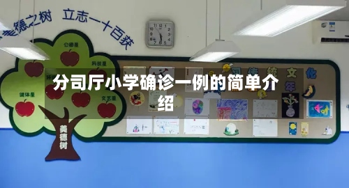 分司厅小学确诊一例的简单介绍-第2张图片