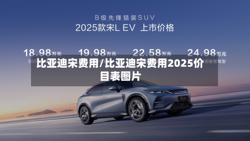 比亚迪宋费用/比亚迪宋费用2025价目表图片-第2张图片