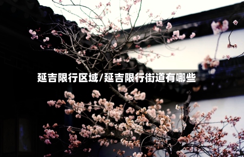 延吉限行区域/延吉限行街道有哪些-第3张图片