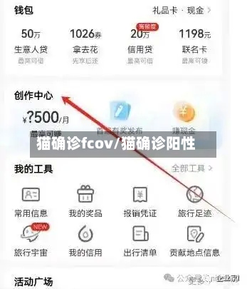 猫确诊fcov/猫确诊阳性