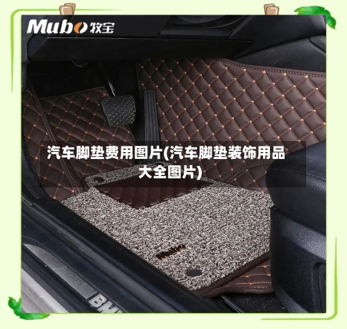 汽车脚垫费用图片(汽车脚垫装饰用品大全图片)-第2张图片