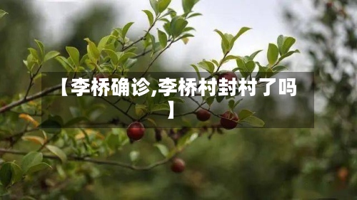 【李桥确诊,李桥村封村了吗】-第3张图片