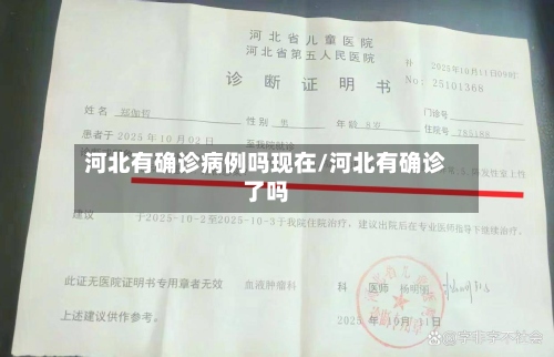 河北有确诊病例吗现在/河北有确诊了吗