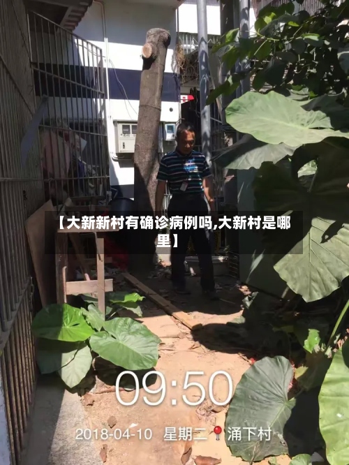 【大新新村有确诊病例吗,大新村是哪里】