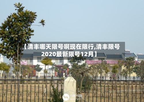 【清丰哪天限号啊现在限行,清丰限号2020最新限号12月】-第2张图片