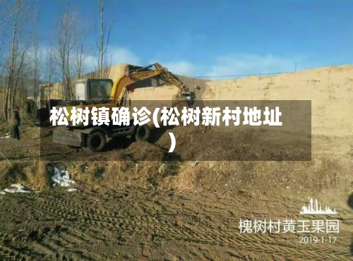 松树镇确诊(松树新村地址)-第2张图片