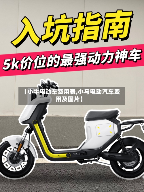 【小牛电动车费用表,小马电动汽车费用及图片】-第2张图片