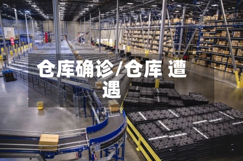 仓库确诊/仓库 遭遇