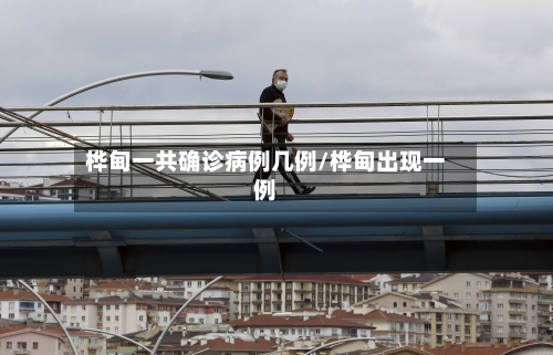 桦甸一共确诊病例几例/桦甸出现一例-第2张图片