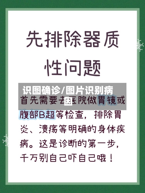 识图确诊/图片识别病因