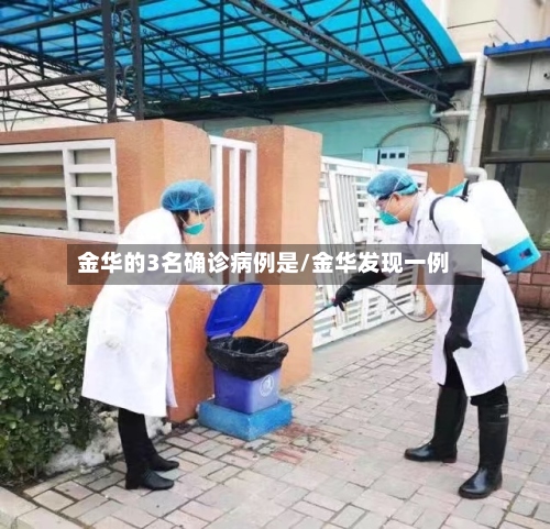 金华的3名确诊病例是/金华发现一例-第2张图片