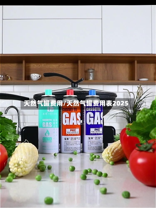 天然气罐费用/天然气罐费用表2025