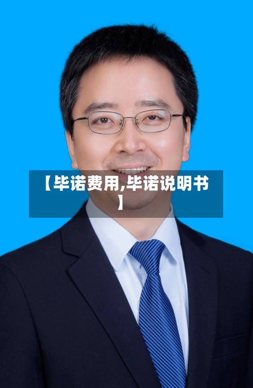 【毕诺费用,毕诺说明书】-第3张图片