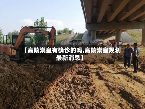 【高陵崇皇有确诊的吗,高陵崇皇规划最新消息】-第2张图片