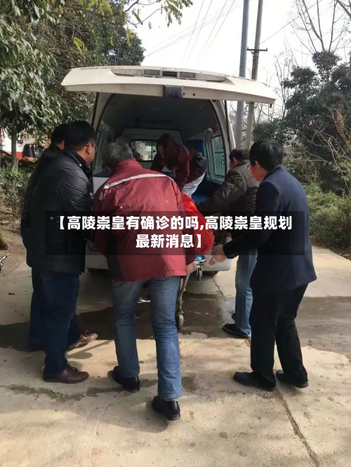 【高陵崇皇有确诊的吗,高陵崇皇规划最新消息】-第3张图片