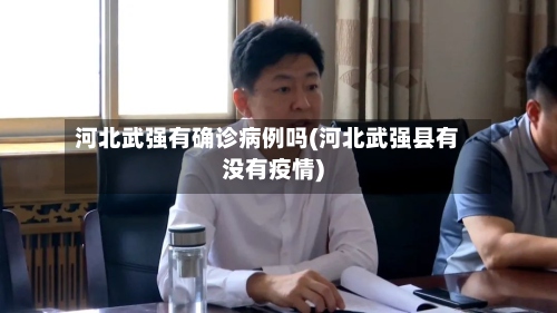河北武强有确诊病例吗(河北武强县有没有疫情)-第3张图片