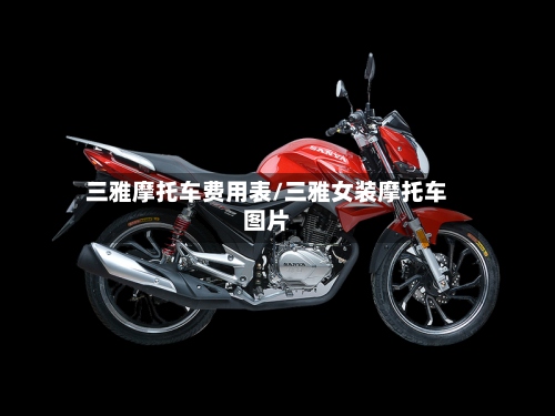 三雅摩托车费用表/三雅女装摩托车图片-第2张图片