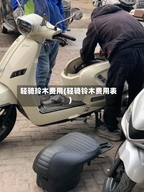 轻骑玲木费用(轻骑铃木费用表)