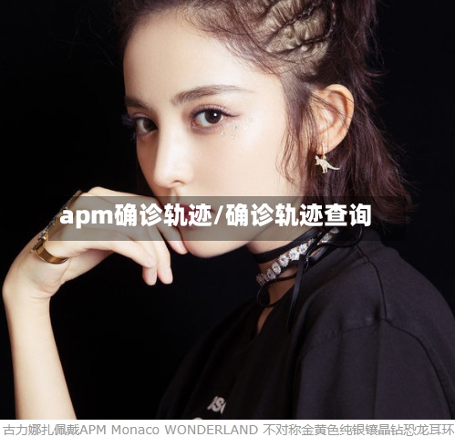 apm确诊轨迹/确诊轨迹查询-第2张图片