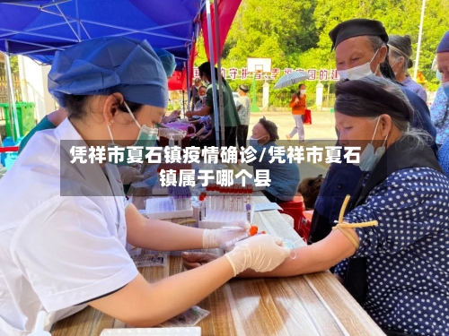 凭祥市夏石镇疫情确诊/凭祥市夏石镇属于哪个县-第2张图片