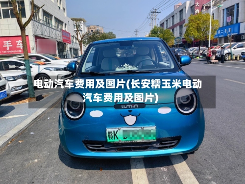 电动汽车费用及图片(长安糯玉米电动汽车费用及图片)-第3张图片