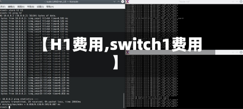 【H1费用,switch1费用】-第2张图片