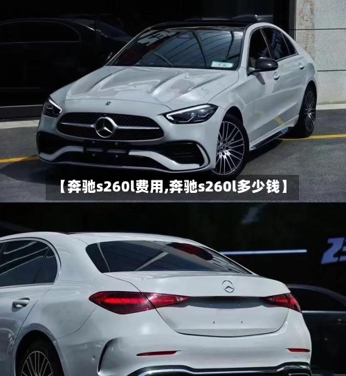 【奔驰s260l费用,奔驰s260l多少钱】-第2张图片