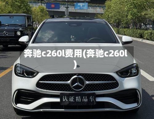 奔驰c260l费用(奔驰c260l)-第2张图片