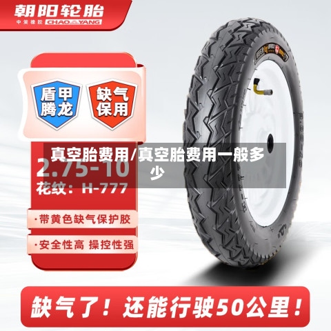 真空胎费用/真空胎费用一般多少-第2张图片