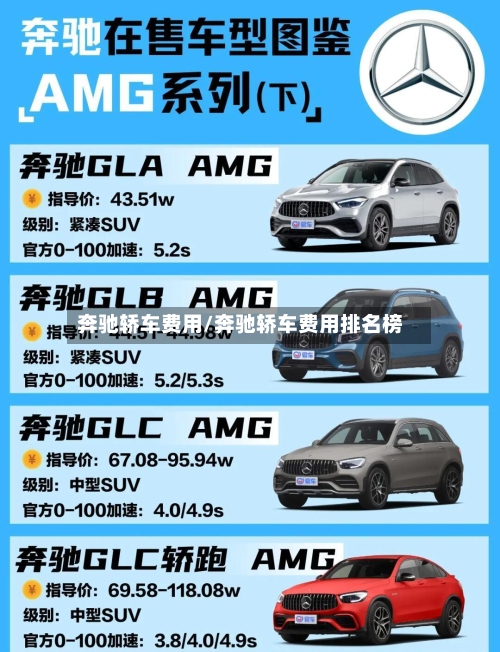 奔驰轿车费用/奔驰轿车费用排名榜-第2张图片