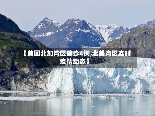 【美国北加湾区确诊4例,北美湾区实时疫情动态】-第2张图片