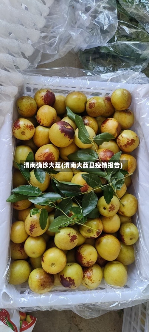 渭南确诊大荔(渭南大荔县疫情报告)