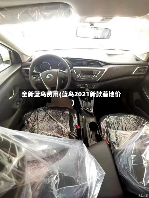 全新蓝鸟费用(蓝鸟2021新款落地价)