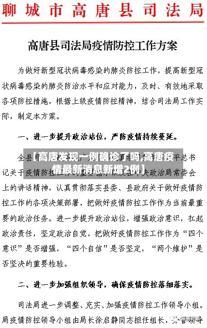 【高唐发现一例确诊了吗,高唐疫情最新消息新增2例】-第3张图片