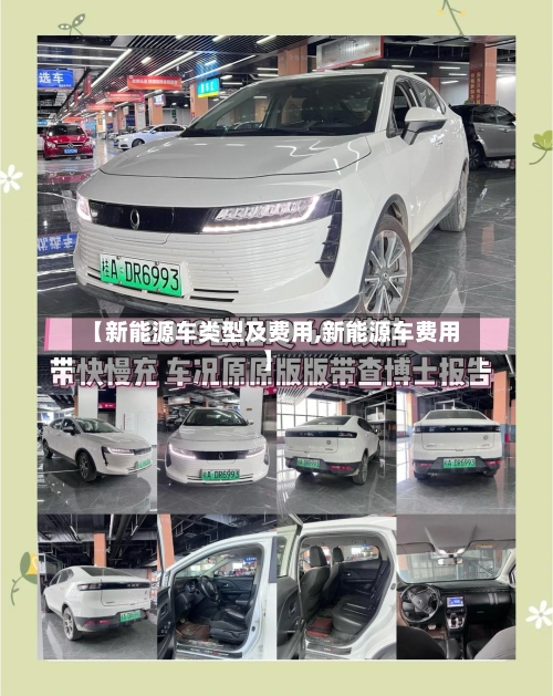 【新能源车类型及费用,新能源车费用】