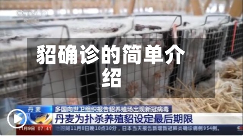 貂确诊的简单介绍-第2张图片
