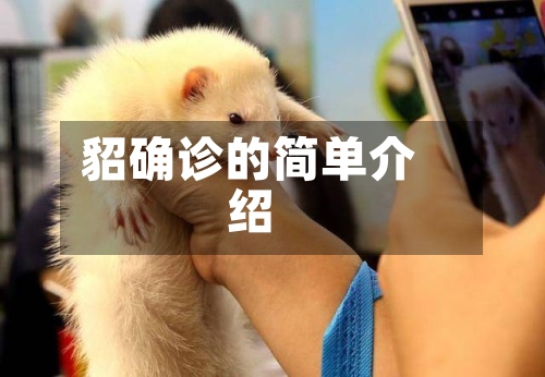 貂确诊的简单介绍-第3张图片