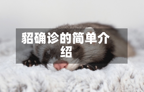 貂确诊的简单介绍