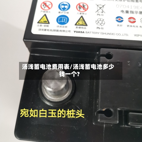 汤浅蓄电池费用表/汤浅蓄电池多少钱一个?-第3张图片