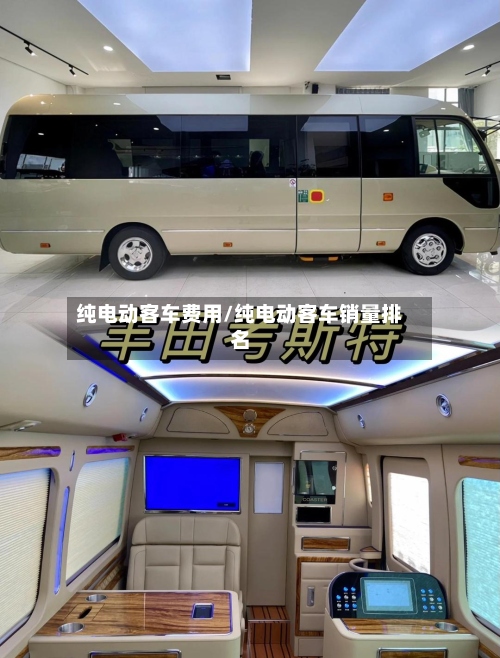 纯电动客车费用/纯电动客车销量排名