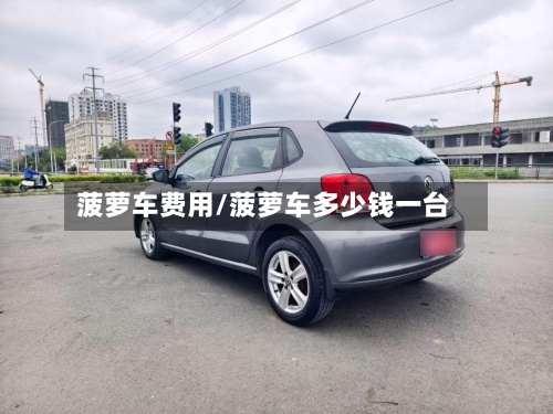 菠萝车费用/菠萝车多少钱一台-第2张图片