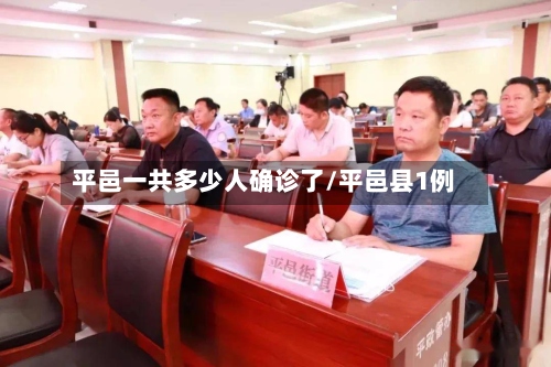 平邑一共多少人确诊了/平邑县1例-第2张图片