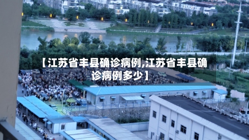 【江苏省丰县确诊病例,江苏省丰县确诊病例多少】-第2张图片